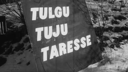 Tulgu tuju taresse